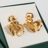 Brinco Com Duas Folhas Escovado