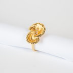 Anel Duas Folhas Escovadas