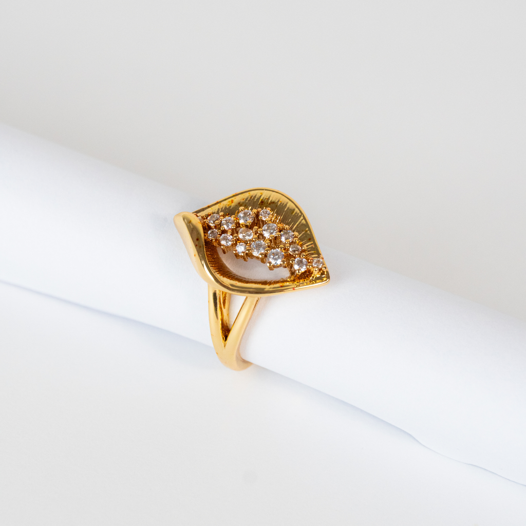 Anel de Zircônias Com Aureóla Escovada