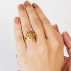 Anel de Zircônias Com Aureóla Escovada