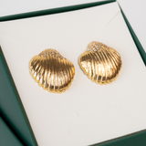 Brinco Concha Escovada