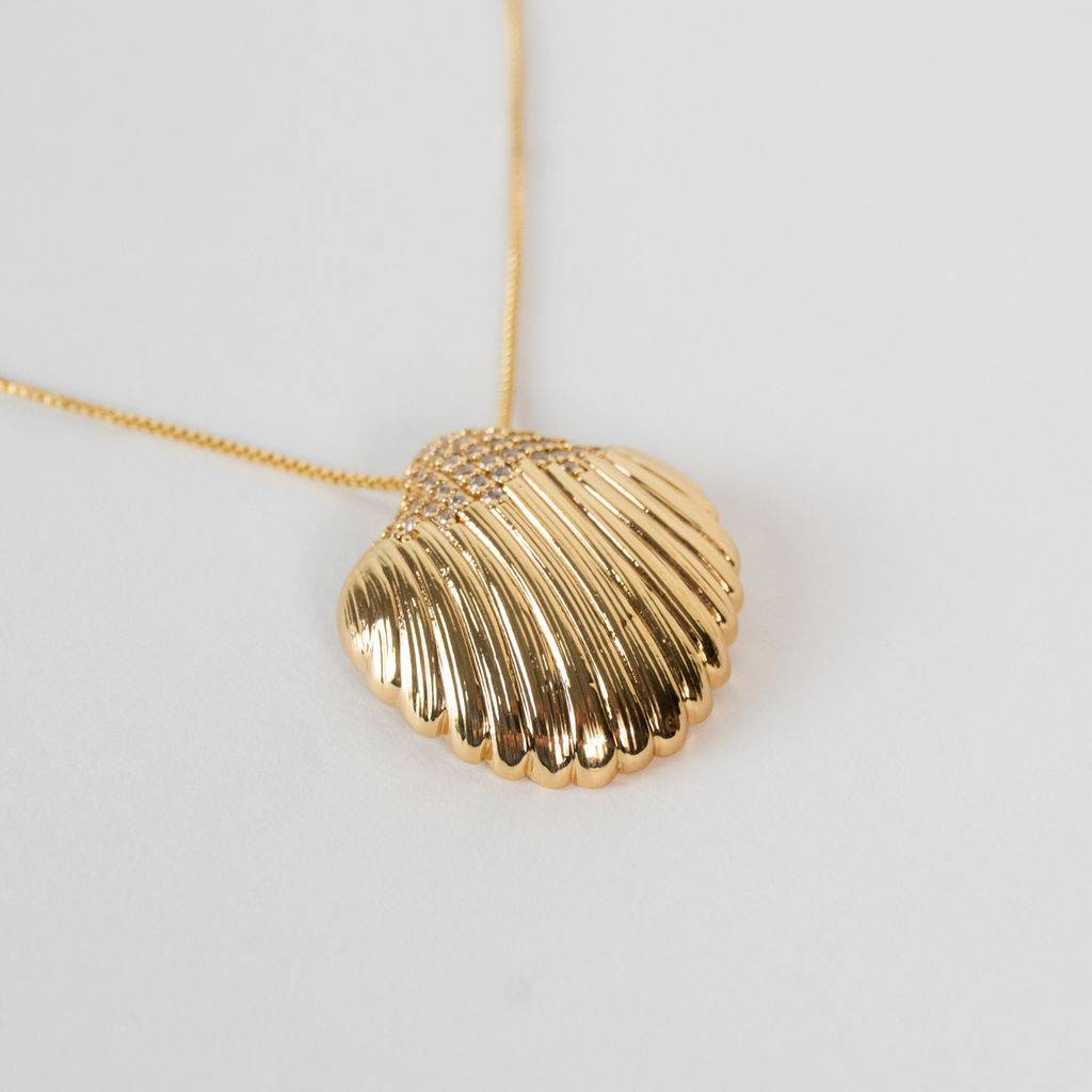 Colar Concha Escovada