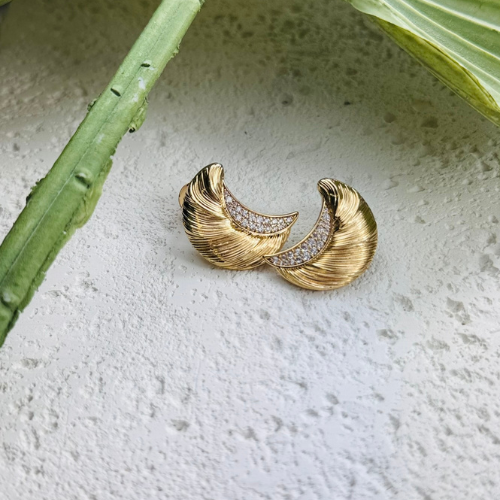 Brinco Meia Lua Escovada