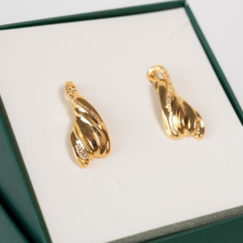 Brinco Orgânico com Micro Zircônias Cravejadas