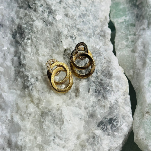 Brinco de Aros Escovados Interligados